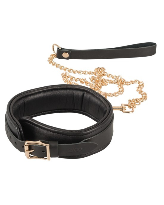 Leather Collar and Leash gold