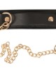 Leather Collar and Leash gold