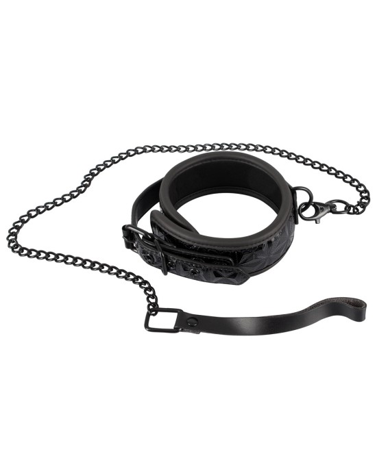 Collar with Leash
