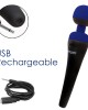 palmpower recharge blue