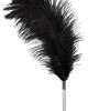 Feather black acrylic