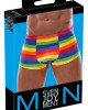Men's Boxer Briefs Rainbow 2XL